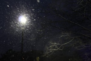 [Update] Some exams postponed, Lipscomb experiences first snow of the season