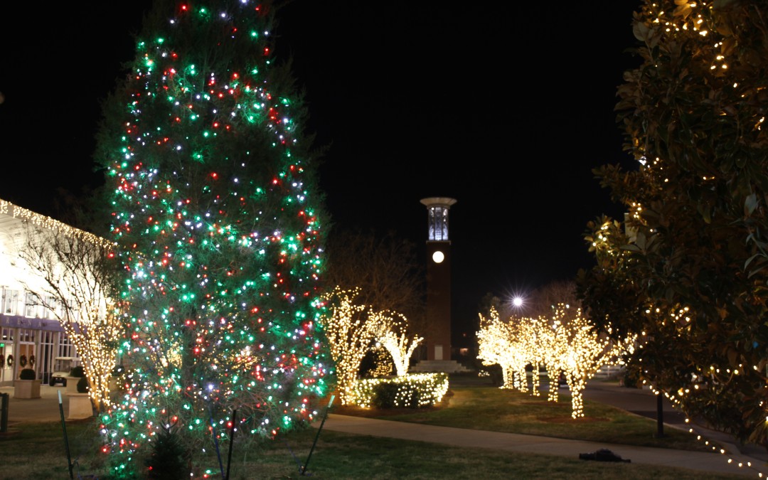 Christmas lights on campus photo gallery