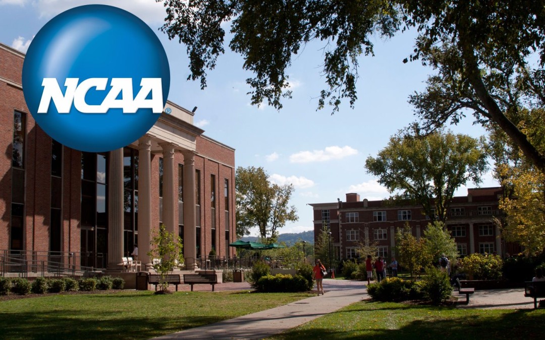 NCAA recognizes Lipscomb Athletics for high APR