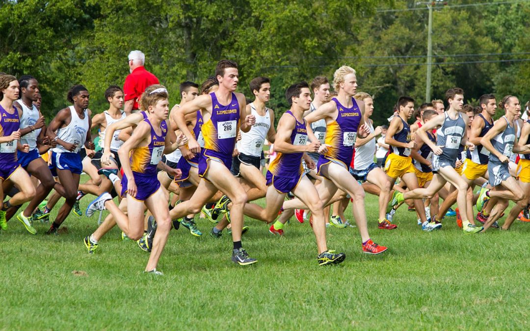 Men’s cross country team runs well, despite bad weather