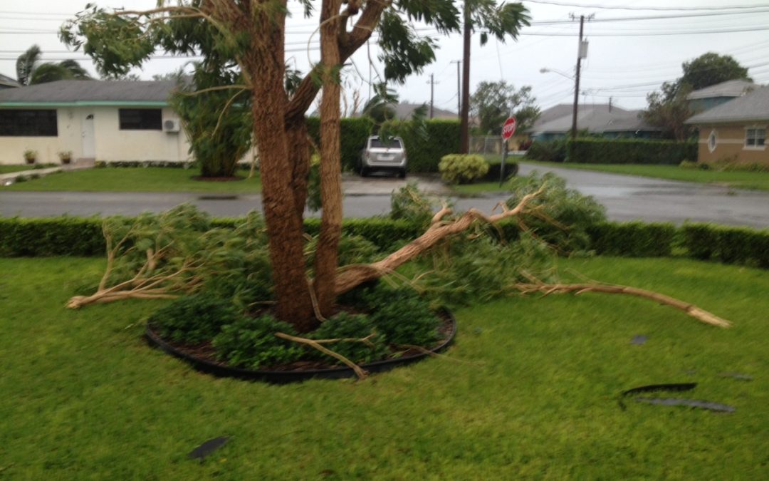 Hurricane Matthew affects students from coastal areas; sports schedule remains unchanged