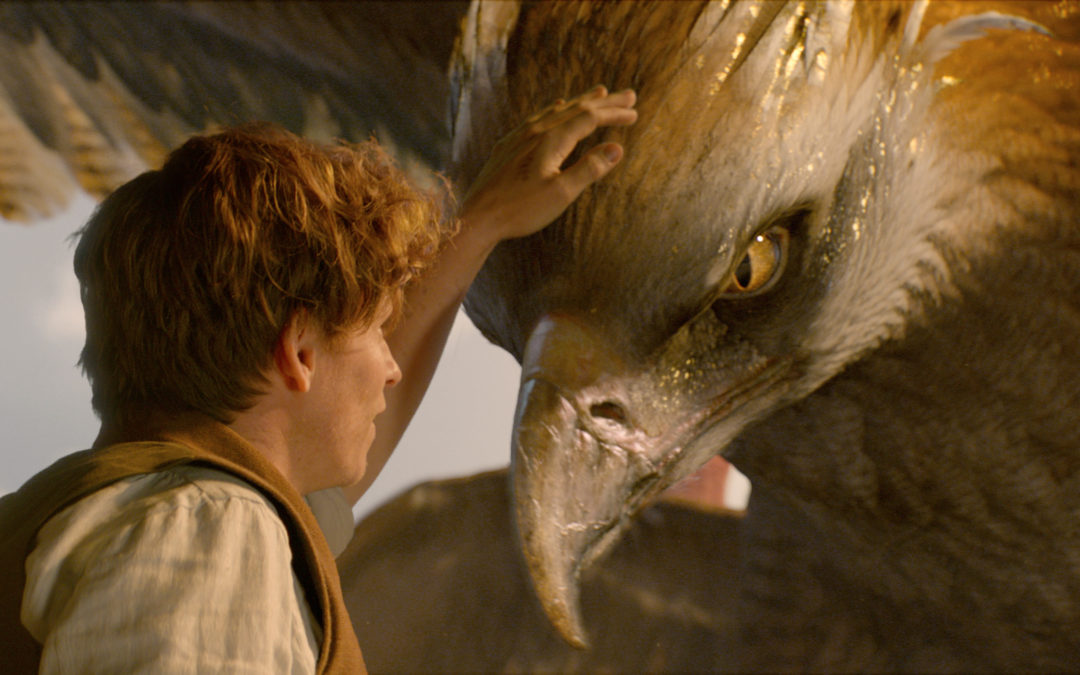 ‘Fantastic Beasts’ is fresh, exciting addition to wizarding world of Harry Potter