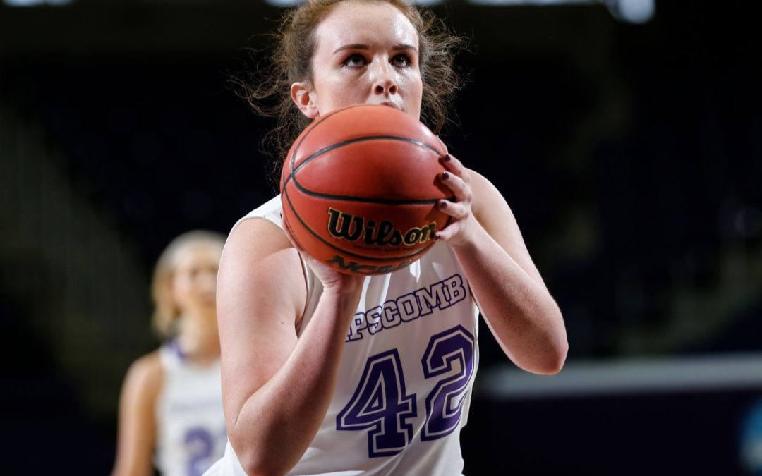 Lady Bisons falter at home to NJIT