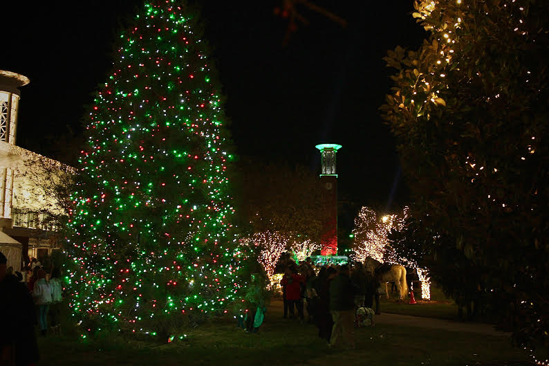 Lipscomb and Amy Grant kick-off Christmas with 2017 Lighting of the Green