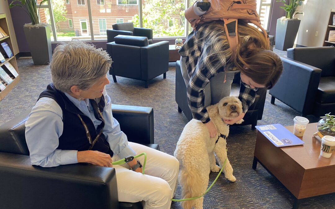 Therapy dogs boost spirits amidst finals